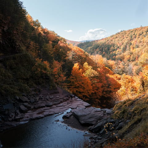 Explore neighbouring Neversink River Unique Nature Preserve