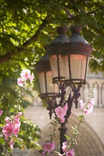 Wander through the Luxembourg Gardens