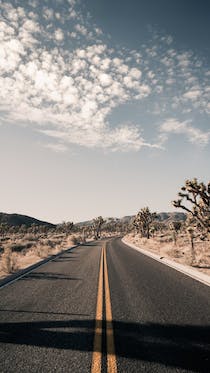 Explore the Unique Landscapes of Joshua Tree National Park